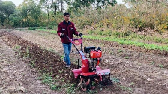 Potente motor diesel 186F con tracción a las cuatro ruedas Mini Power Tiller Cultivator para el mercado