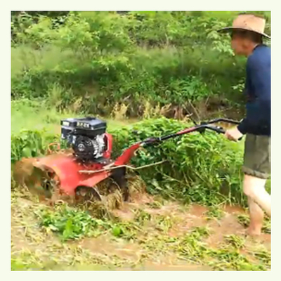 Ancho de trabajo ajustable y ancho de recubrimiento Mini Tiller con tracción en las cuatro ruedas