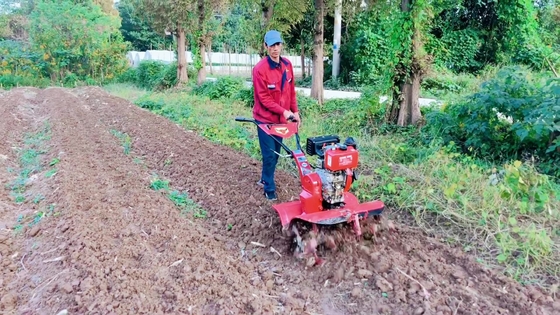 186F Motor diesel con tracción a las cuatro ruedas Mini Power Tiller Cultivator para la eficiencia de las granjas
