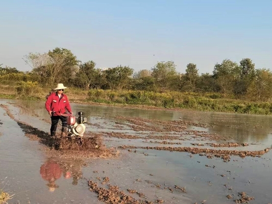 Equipo de maquinaria agrícola Modelo 186F 192F Pequeña motoniveladora eléctrica pesada para tierra dura