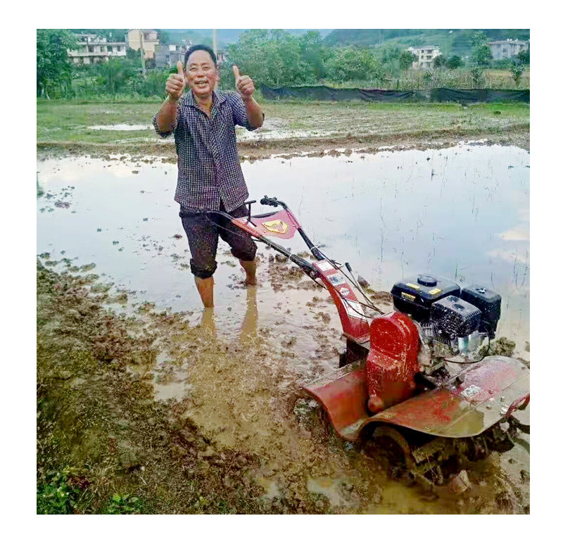 Ancho de trabajo de 45-85 cm Motor de gasolina Mini cultivador Tiller giratorio para una operación fácil