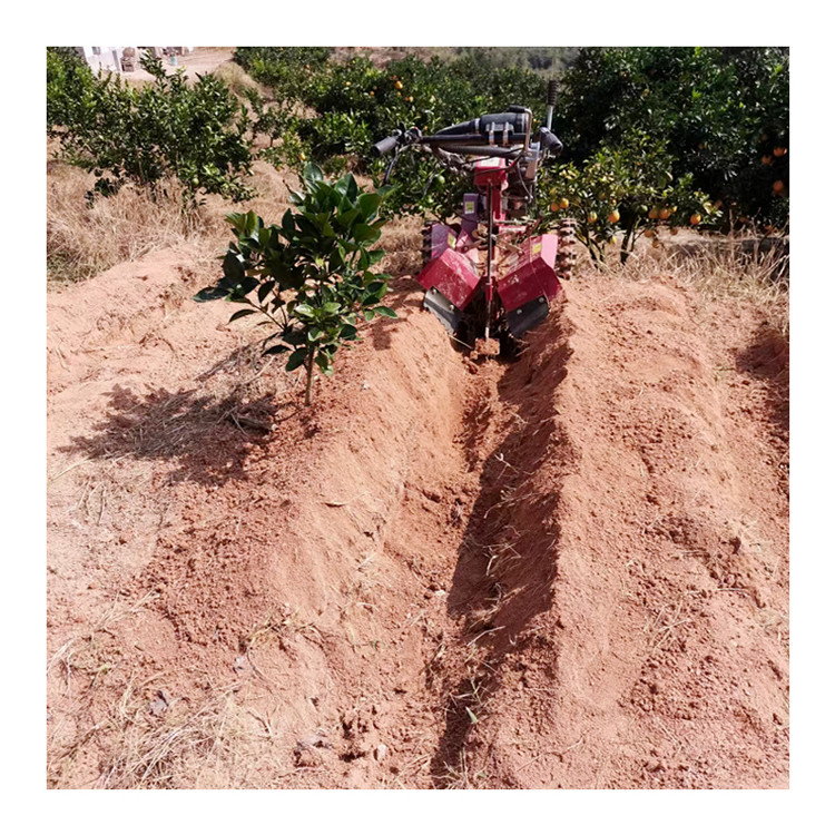 Máquina de limpieza para jardín