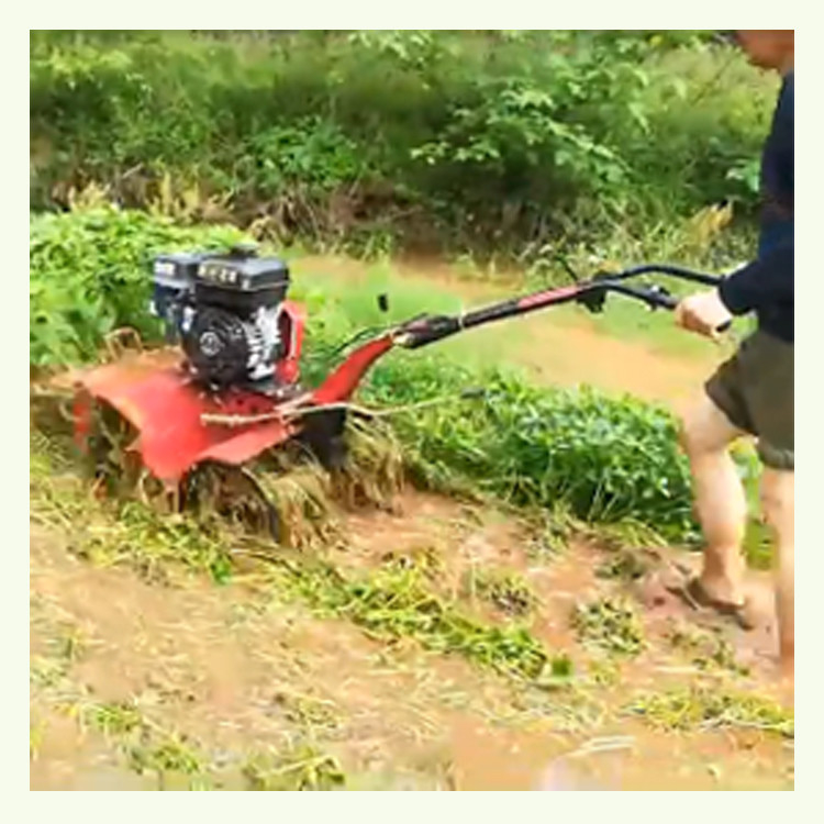 170F 7HP 4.05KW Transmisión manual de engranajes arranque Mini Power Tiller con alto nivel de seguridad