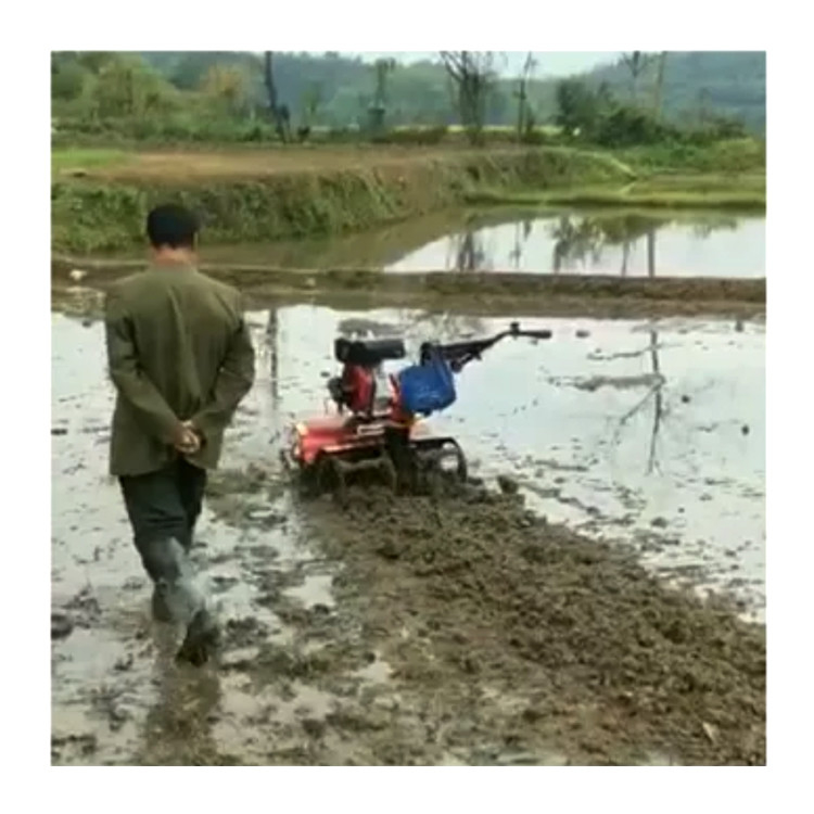 160*62*108cm Máquina agrícola de alto nivel de seguridad 4KW Equipo agrícola/Mini Tiller rotativo