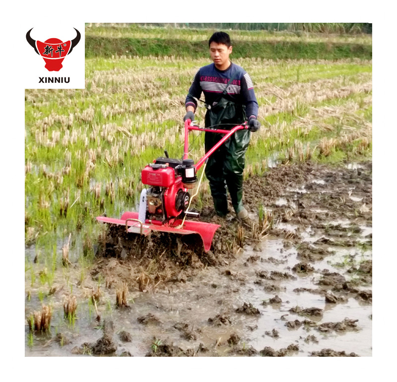 Nivel de seguridad de alta mano empuje modelo corto Mini Tiller rotativo para herramientas agrícolas